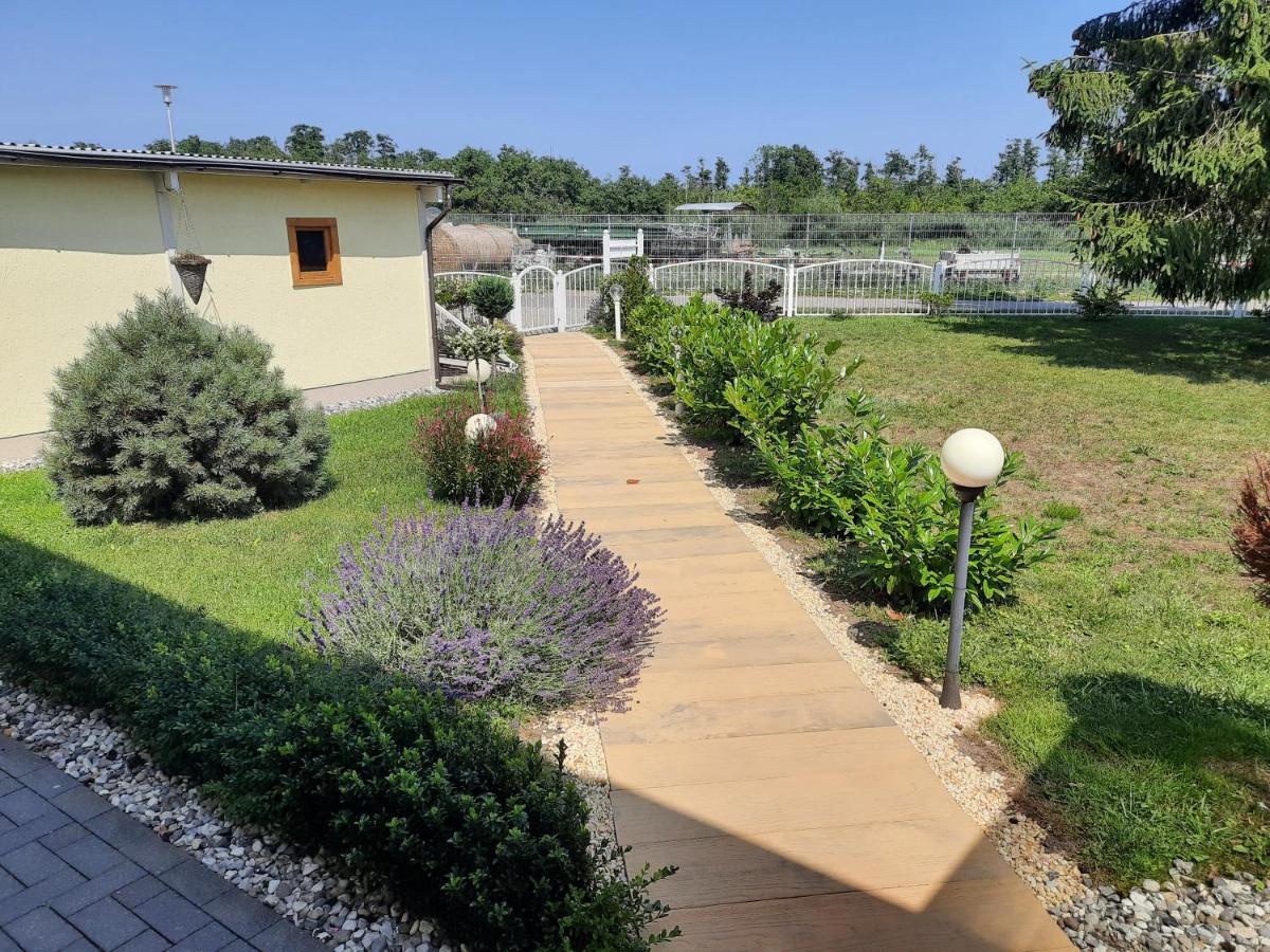 Pudagla Ferienwohnung Am Schmollensee المظهر الخارجي الصورة